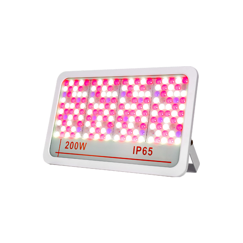 Luce di inondazione a LED