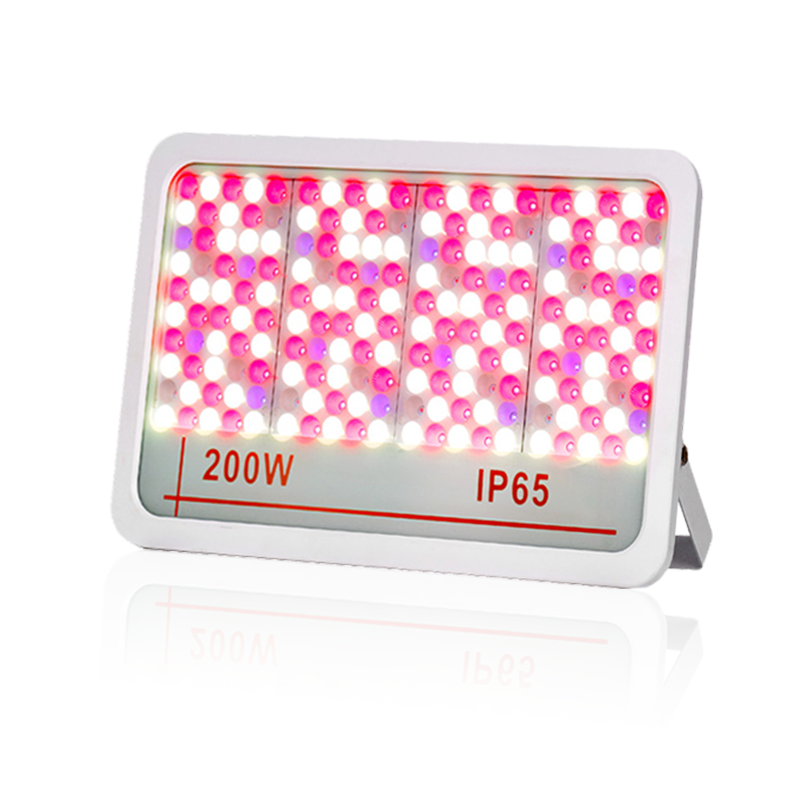 Luce di inondazione a LED