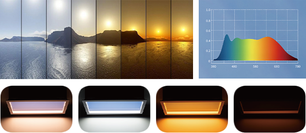 Xin Guang Yuan (New Lights Lighting Technology Co., Ltd.