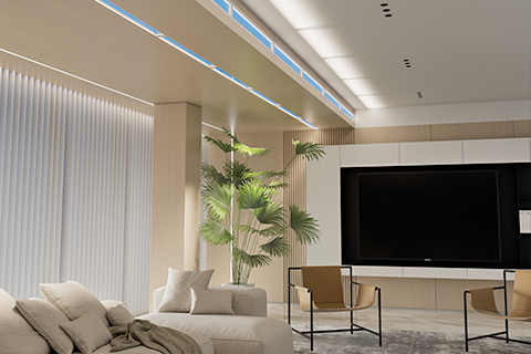 Xin Guang Yuan (New Lights Lighting Technology Co., Ltd.