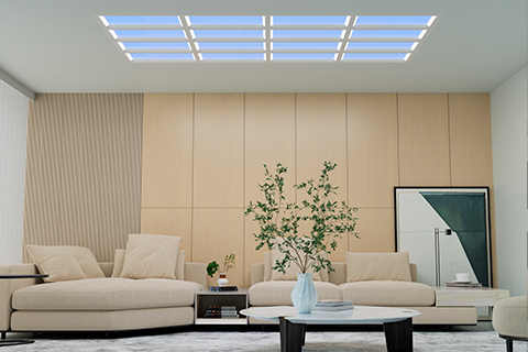 Xin Guang Yuan (New Lights Lighting Technology Co., Ltd.